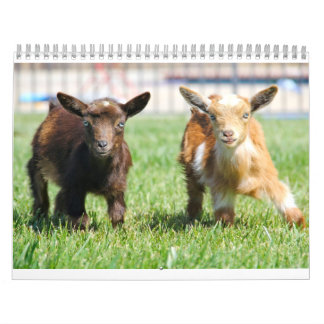 Bird House & Barn Calendrier