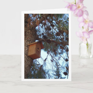 Bird House in Pine Tree Portrait Card