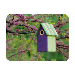 Bird House On A Redbud Tree Magnet