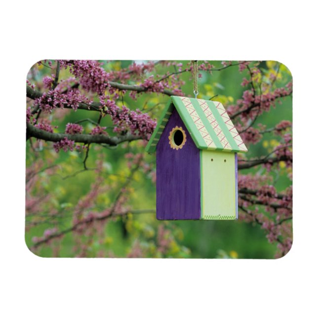 Bird House On A Redbud Tree Magnet (Horizontal)