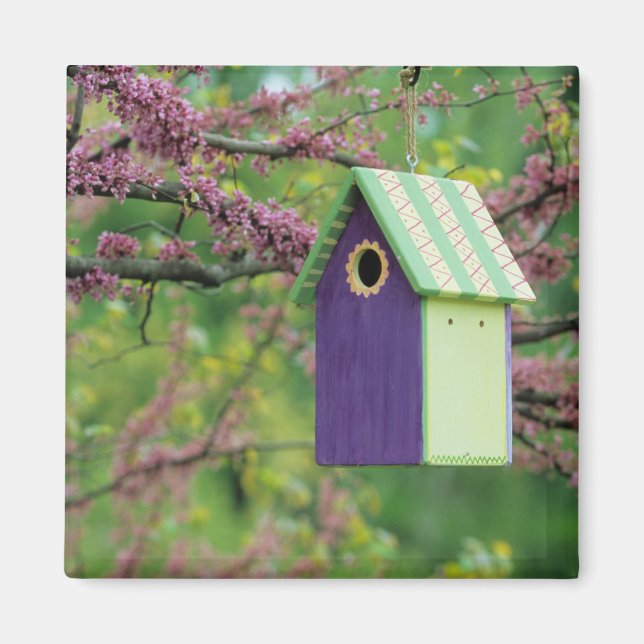 Bird House On A Redbud Tree Magnet (Front)