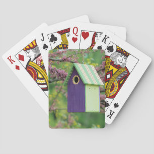 Bird House On A Redbud Tree Playing Cards