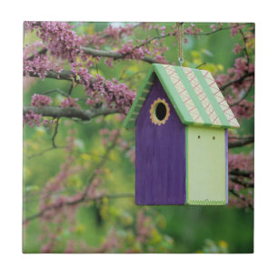 Bird House On A Redbud Tree Tile