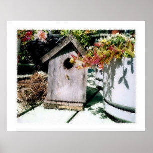 Bird House Poster