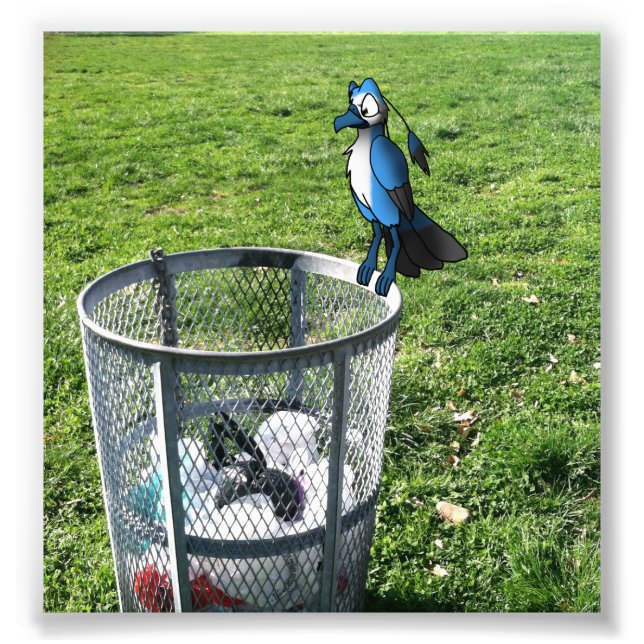 Bird Hybrid on Trash Can Photo Print (Front)