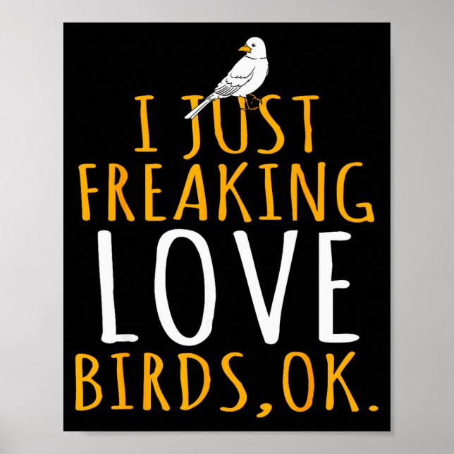 Bird - I Just Freaking Love Birds Ok  Poster (Front)