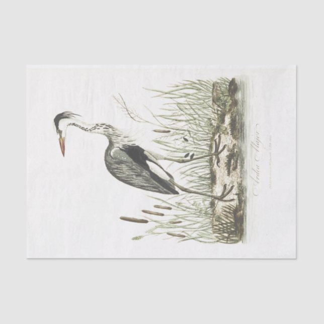 Bird Illustration Common Heron Tissue Paper (Front)