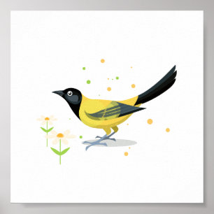 Bird illustration poster