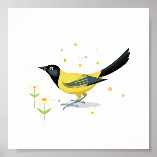 Bird illustration poster (Front)
