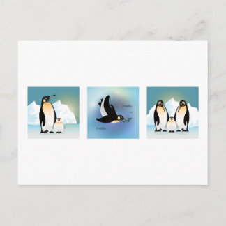 Bird illustration - The Penguin family Postcard