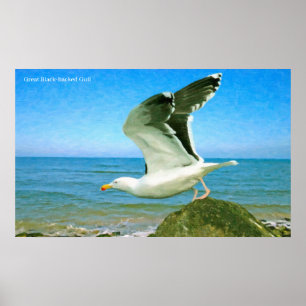 Bird image for Poster