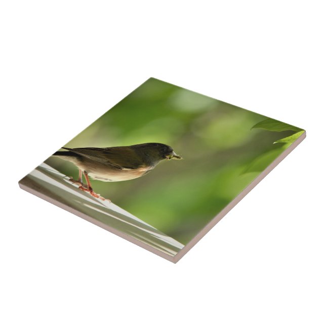 Bird in green leaves background tile (Side)