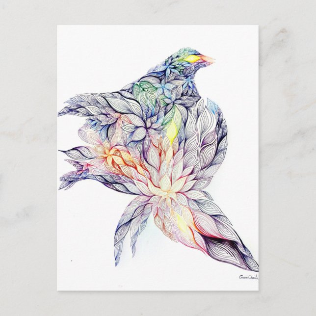 Bird in her nest postcard (Front)