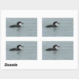 Bird in Ocean Photo Stickers