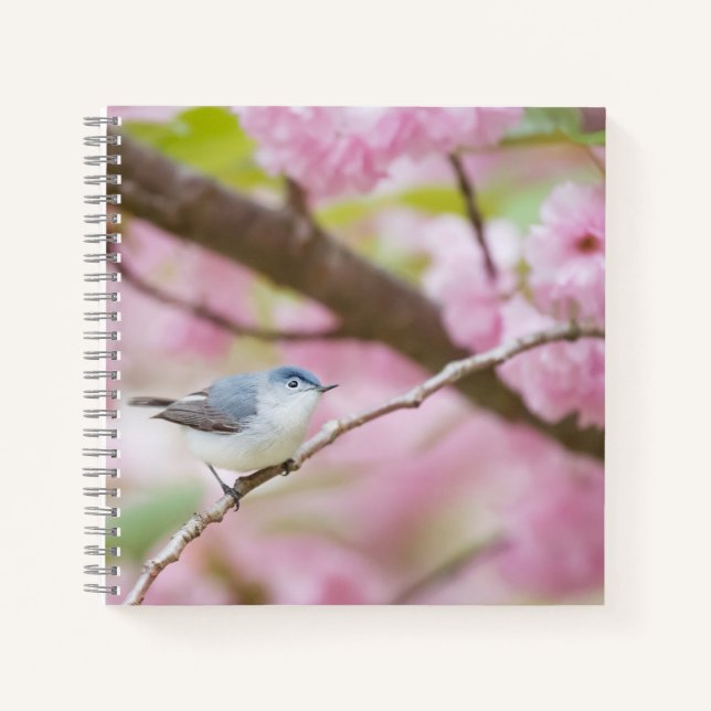 Bird in Pink Blossom Tree Notebook (Front)