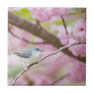 Bird in Pink Blossom Tree Tile