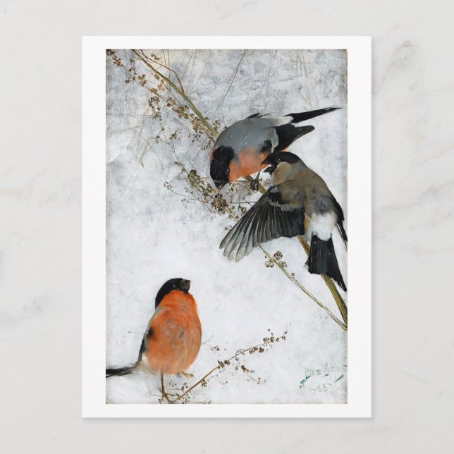 Bird in Snow, Bruno Liljefors Postcard (Front)