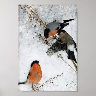 Bird in Snow, Bruno Liljefors Poster