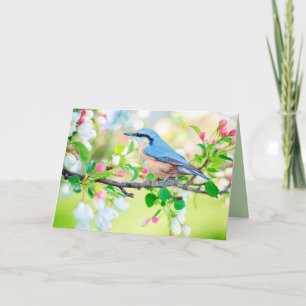bird in spring greeting card