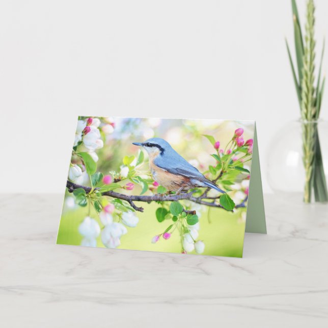bird in spring greeting card (Front)