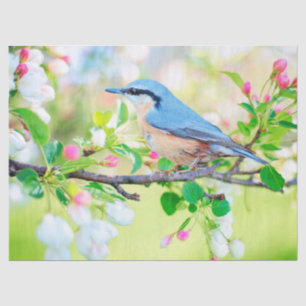 bird in spring tissue paper