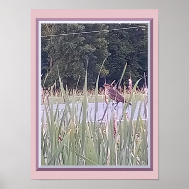 Bird in the Tall Grass Poster (Front)