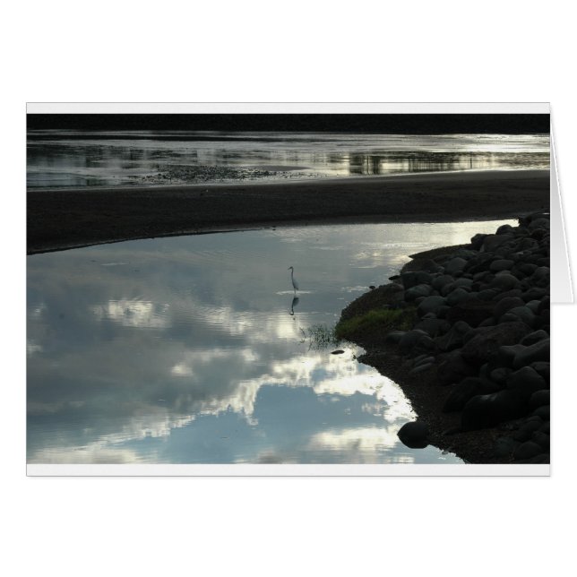 Bird in the Water (Front Horizontal)