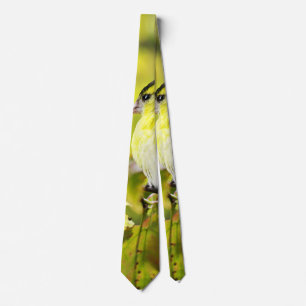 Bird in the Yellow Tie