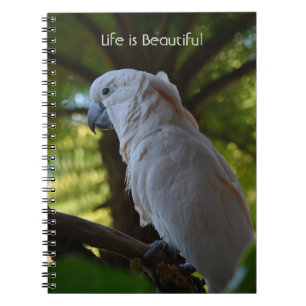Bird in Tree Kauai (my photography) Notebook