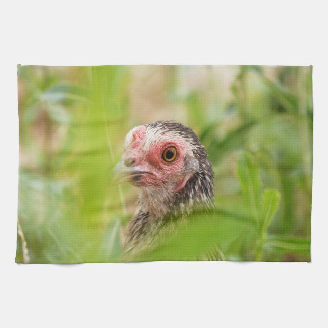 Bird Kitchen Towel (Horizontal)