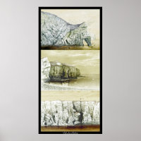 Bird Life Poster ~ Cliff Habitat