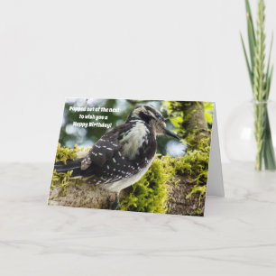 Bird Lovers Birthday Card