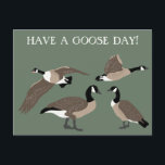 Bird Lovers Canada Geese Illustration Custom Postcard<br><div class="desc">Send the perfect greeting to your favourite bird lover with this customizable postcard. The HAVE A GOOSE DAY! message on the front can be customized with your own saying. Plus there's plenty of room on back for writing your own message. This postcard features realistic style illustrations of Canada geese in...</div>