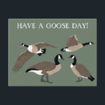 Bird Lovers Canada Geese Illustration Custom Postcard<br><div class="desc">Send the perfect greeting to your favourite bird lover with this customizable postcard. The HAVE A GOOSE DAY! message on the front can be customized with your own saying. Plus there's plenty of room on back for writing your own message. This postcard features realistic style illustrations of Canada geese in...</div>