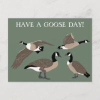 Bird Lovers Canada Geese Illustration Custom