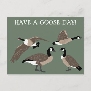 Bird Lovers Canada Geese Illustration Custom Postcard