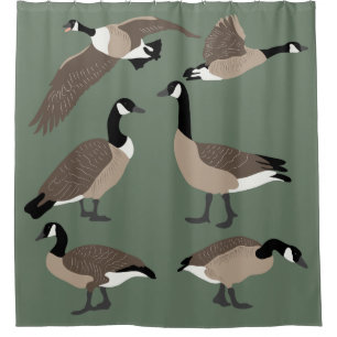 Bird Lovers Canada Geese Illustration Sage Green