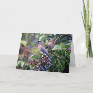 Bird Lunch Greeting Card (Blank Inside)