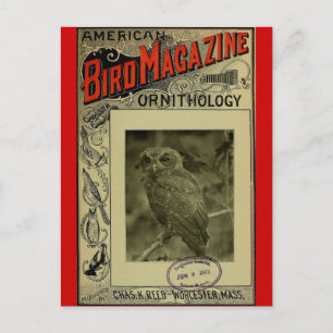 Bird Magazine jun 8 1903 Postcard