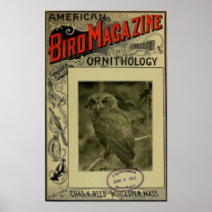 Bird Magazine jun 8 1903 Poster