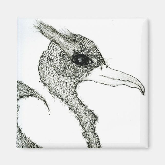 bird magnet (Front)
