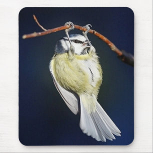 Bird Mouse Pad