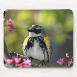 Bird Mouse pad 6