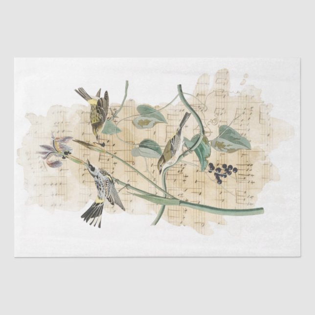 Bird Music Iris Flower Watercolor Decoupage Craft Tissue Paper (Front)