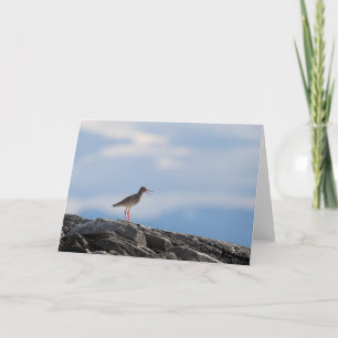 Bird Nature Photo Card