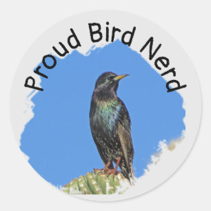 Bird Nerd Pretty Black Starling Cactus Birdwatcher Classic Round Sticker