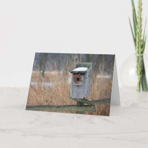 Bird, nest box with holiday wreath in winter card