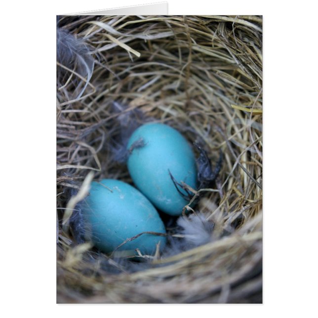 Bird Nest Card (Front)