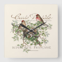 Bird Nest Carte Postale French Vintage
