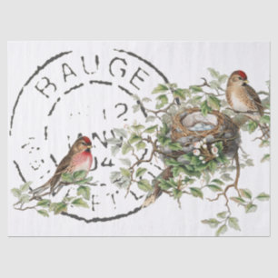 Bird Nest French Postmark Vintage Decoupage Tissue Paper